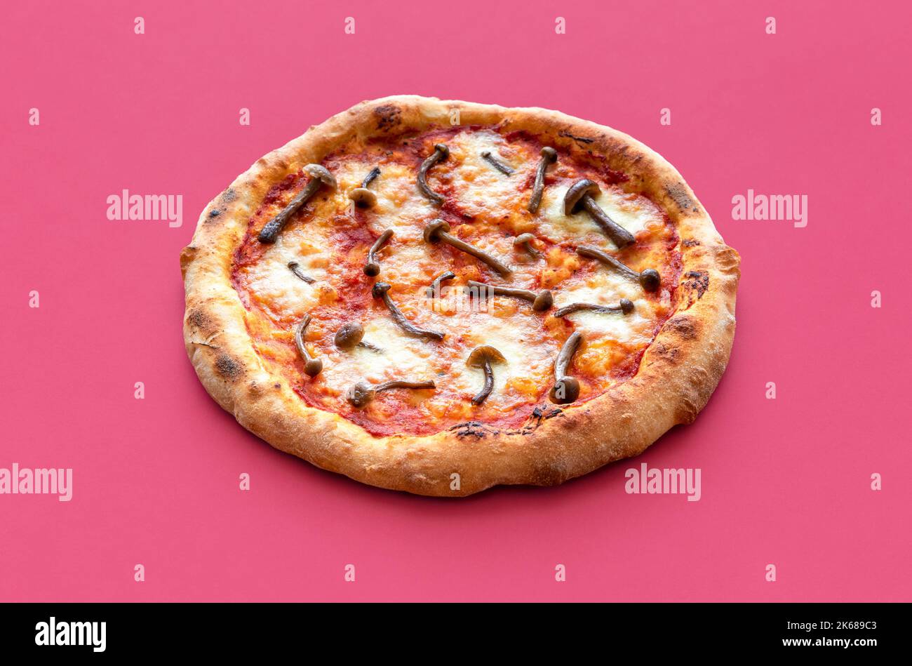 Close-up with a delicious homemade pizza isolated on a magenta-colored background. Vegetarian pizza with forest mushrooms Stock Photo