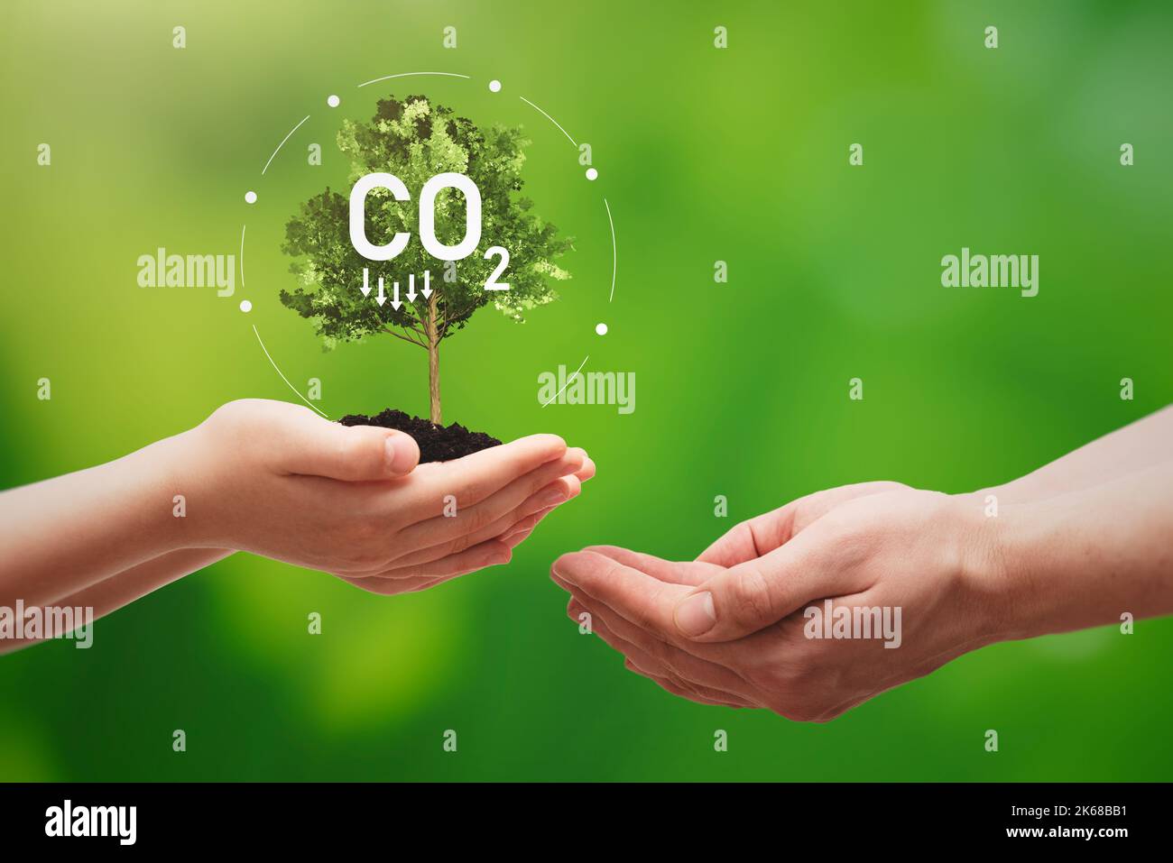 Carbon footprint, sustainable energy sources concept with tree on hand Stock Photo