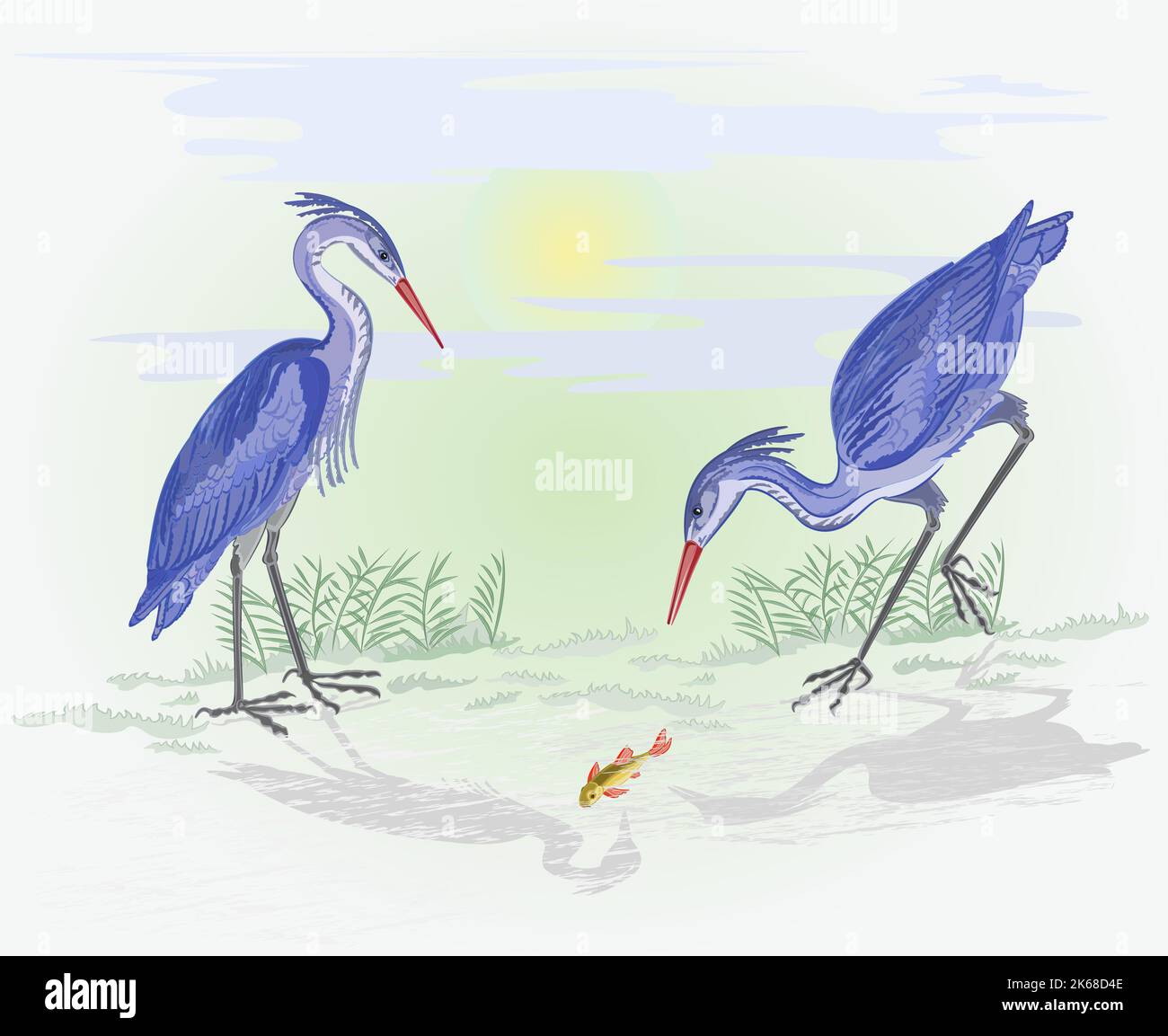 Herons on the hunt vector Stock Vector
