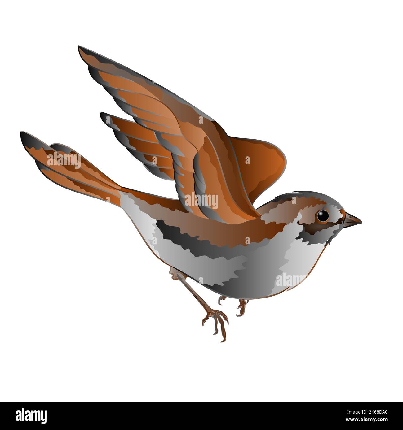 Little bird sparrow in flight vector Stock Vector