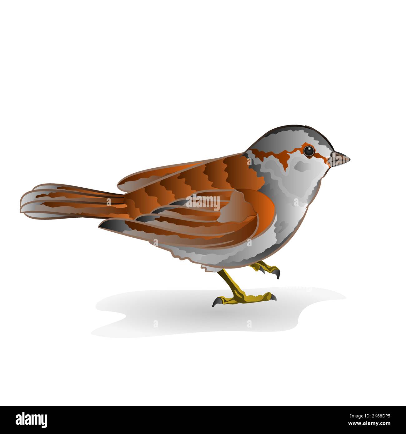 Little bird sparrow vector Stock Vector