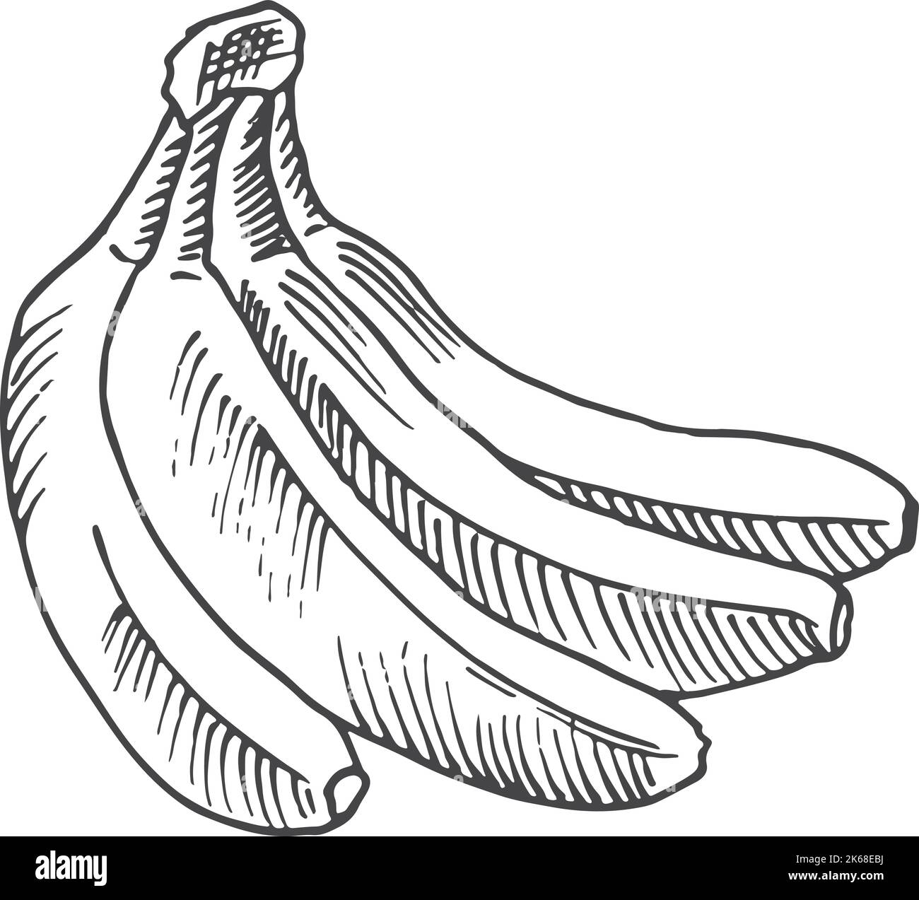 How to Draw a Banana Step by Step - EasyLineDrawing