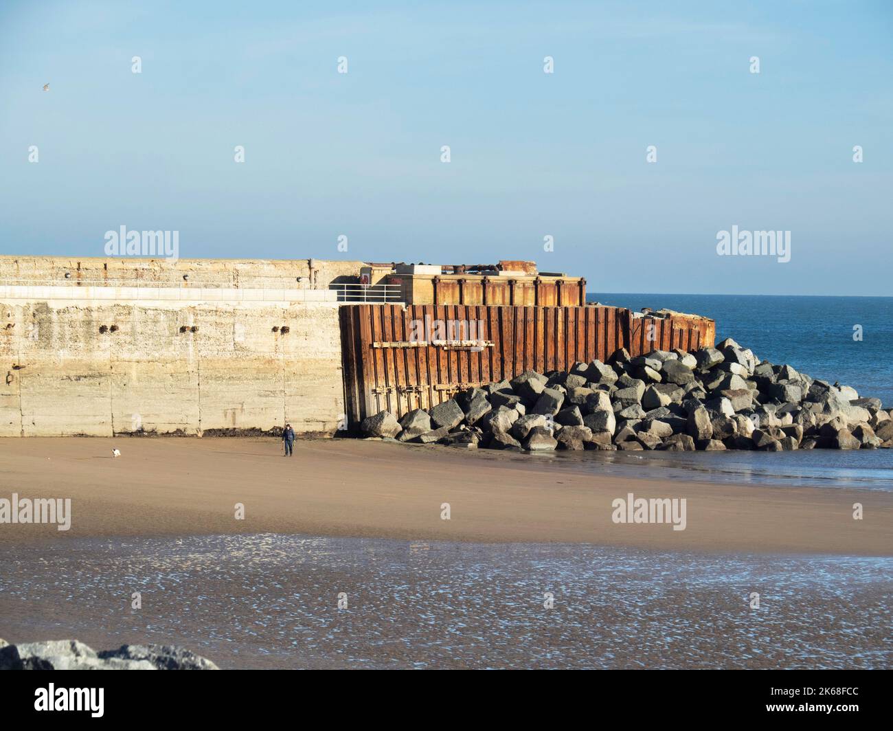 The remains of end of the jetty formerly used by the steel works at low tide with a man exercising a Spaniel dog Stock Photo