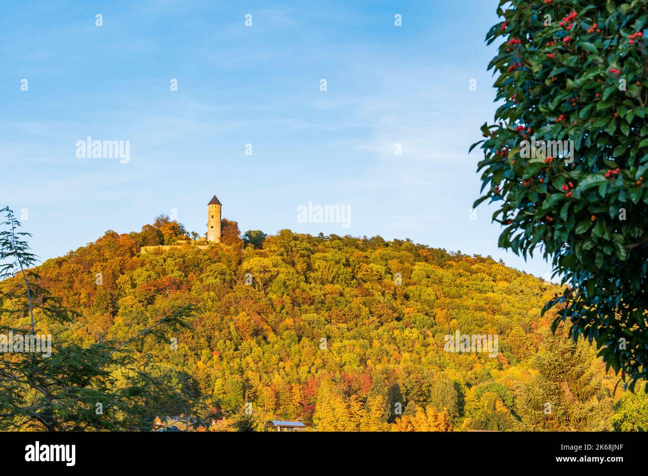 Mountain with autumnal forest and medieval castle ruins, Plesse Castle Germany Stock Photo