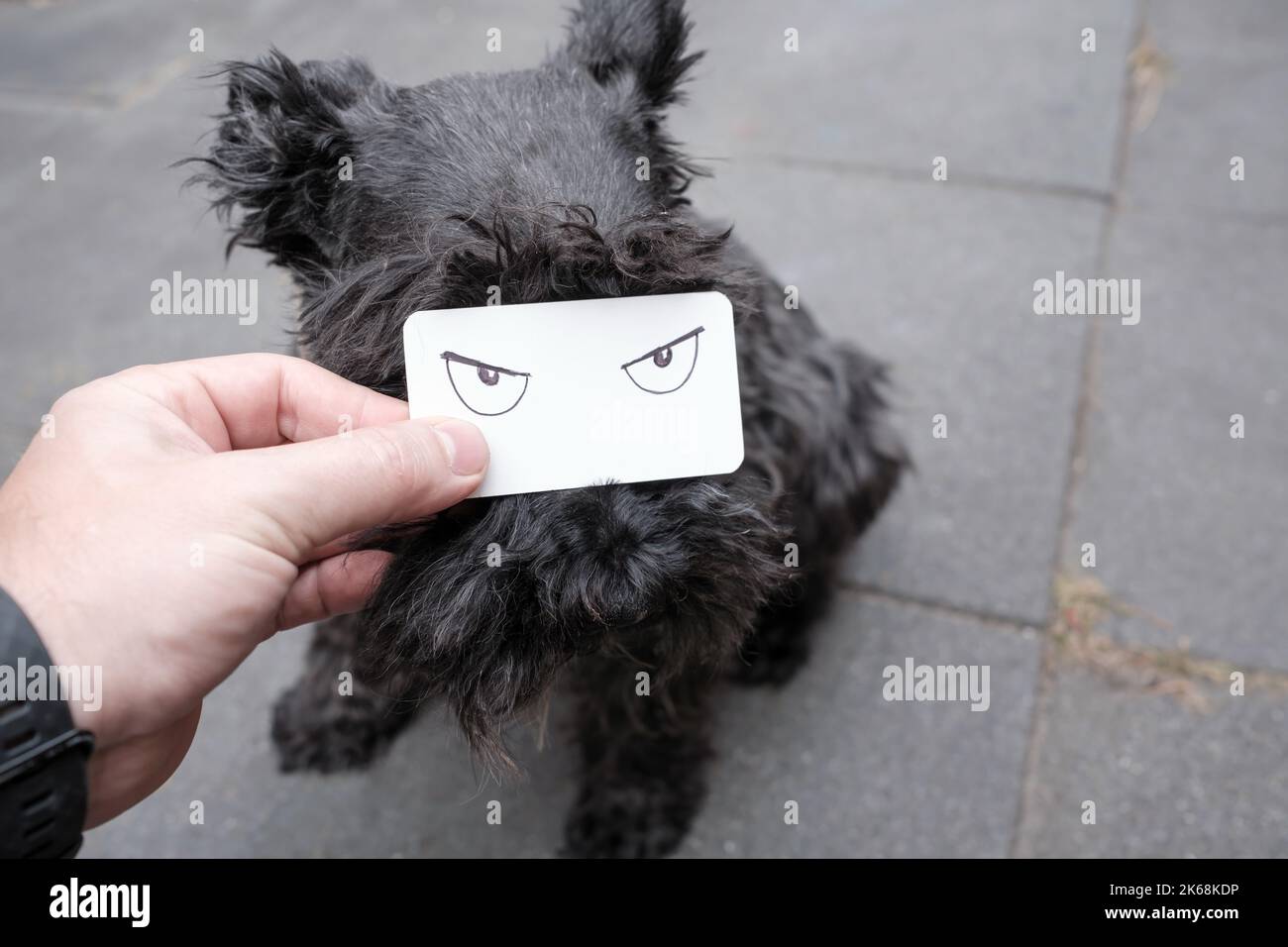 Evil hotsell dog muzzle