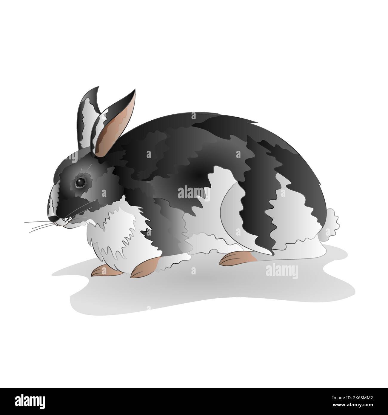 Mottled black and white rabbit vector Stock Vector