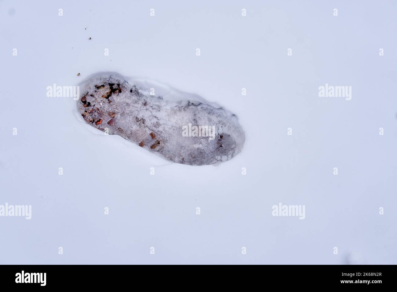 High Angle View Of an isolated Footprint Of a Boot On Fresh Snow. Copy space Stock Photo