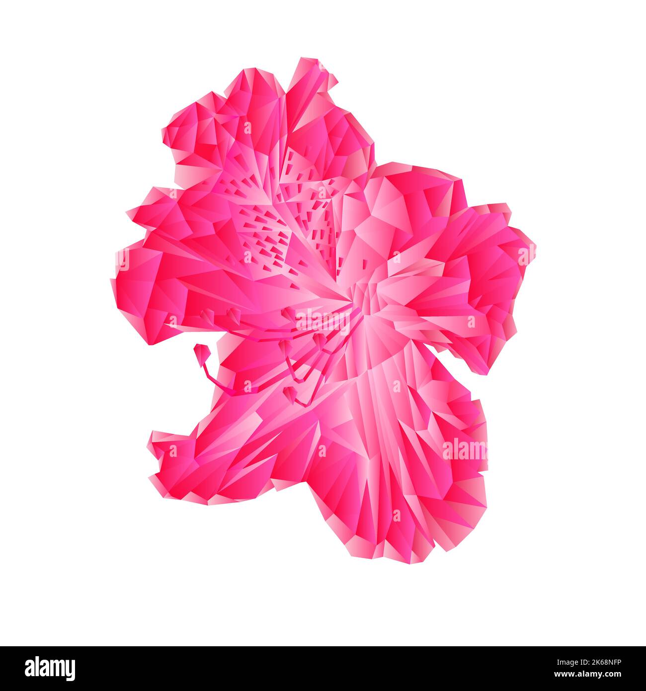 Shub Vector Flower pink simple rhododendron polygons Mountain spring shrub vector ...