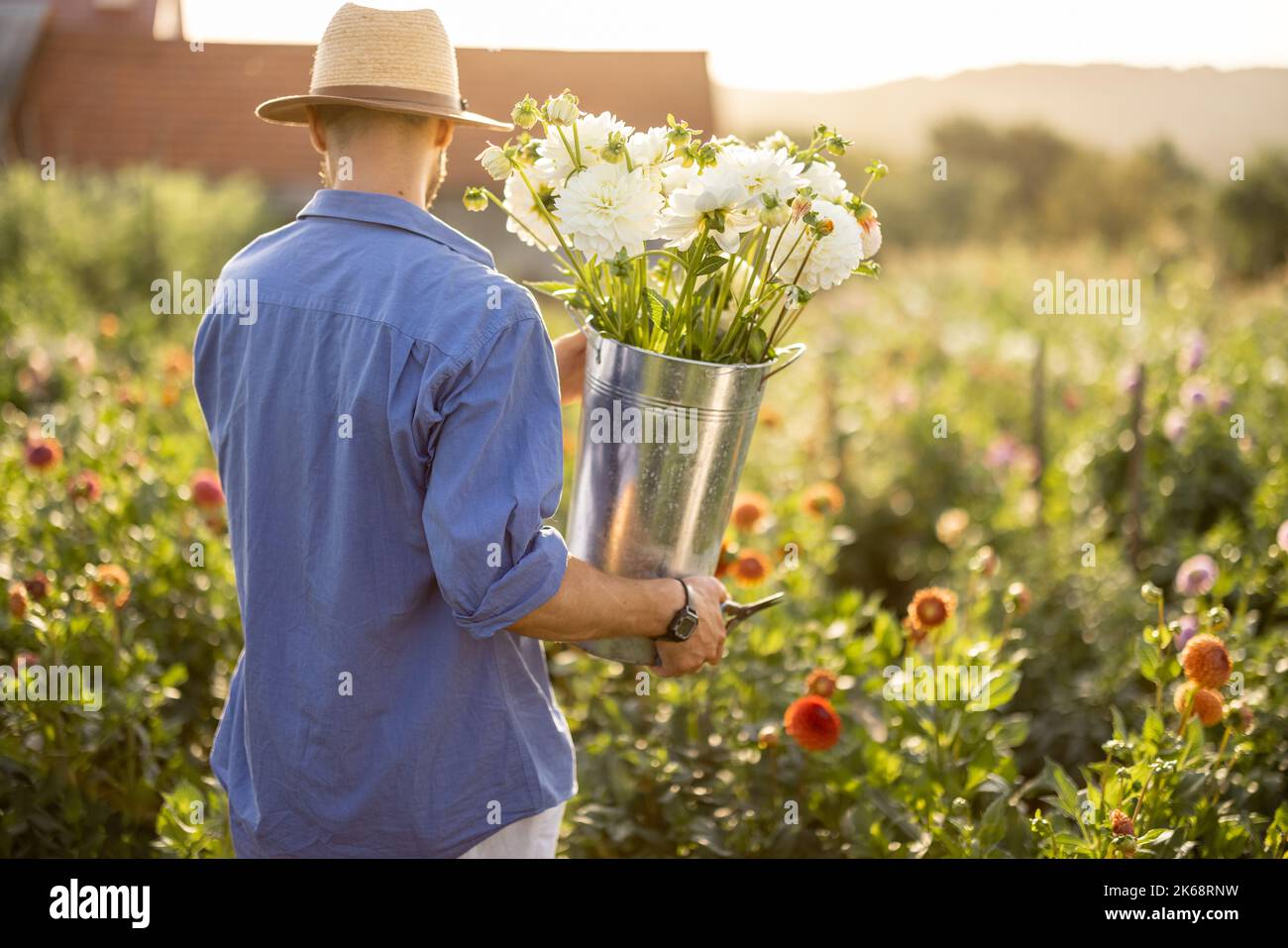Flowers carries hi-res stock photography and images - Alamy