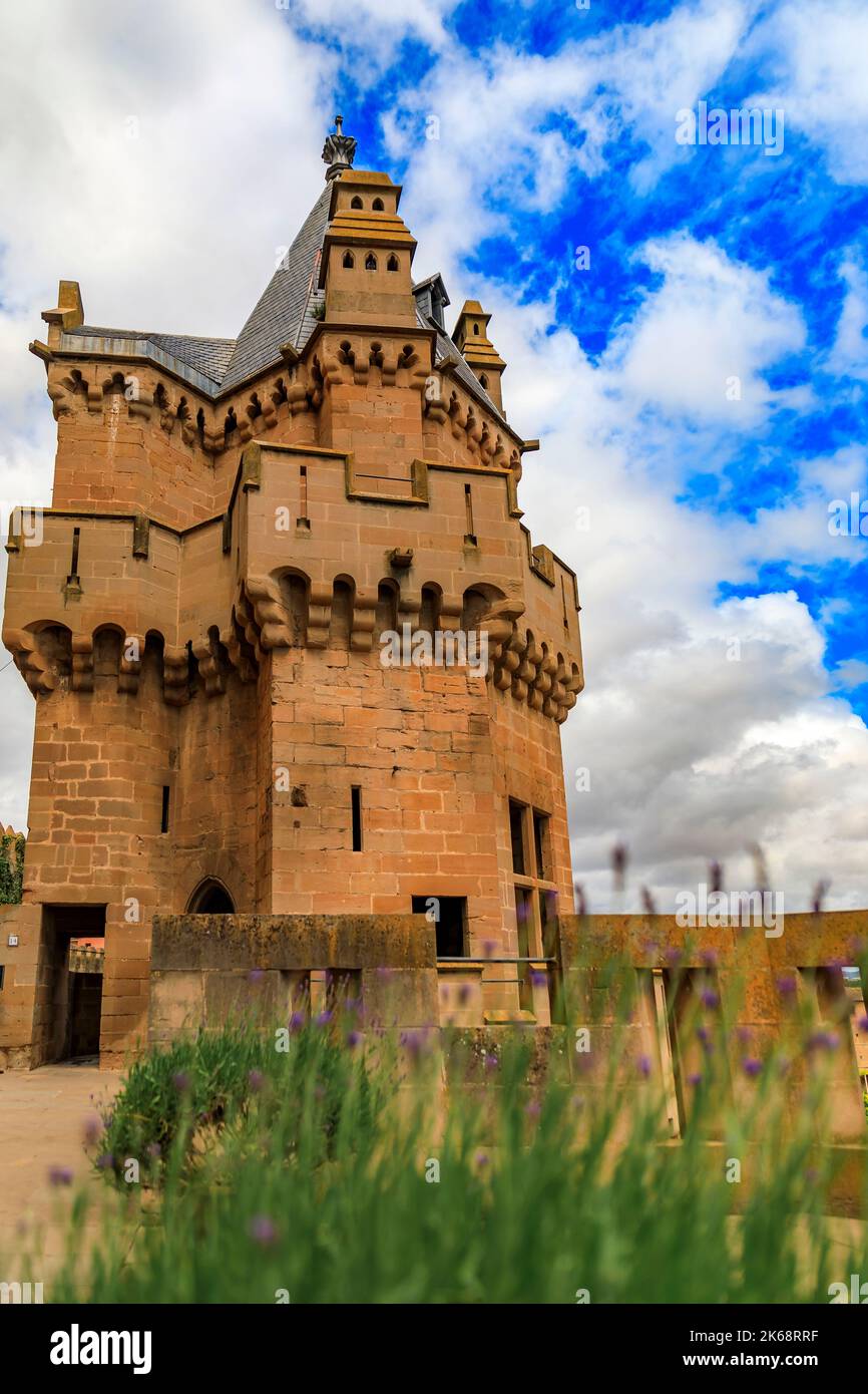 OLITE main image 0