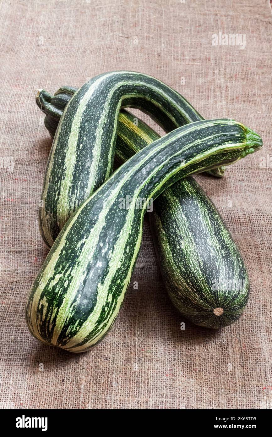 Fresh striped zucchini on sackcloth background Stock Photo