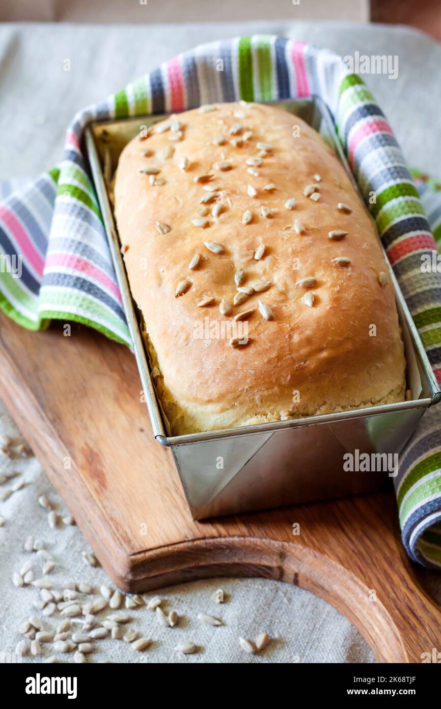 White yeast bread with sunflower seeds baked in tin baking form Stock