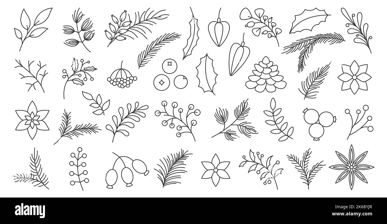 Winter autumn berry christmas tree spruce branch leaf hand drawn black line set. Poinsettia fir pine cone star anise wild rose viburnum festive garden plant flower decor card invitation sticker print Stock Vector