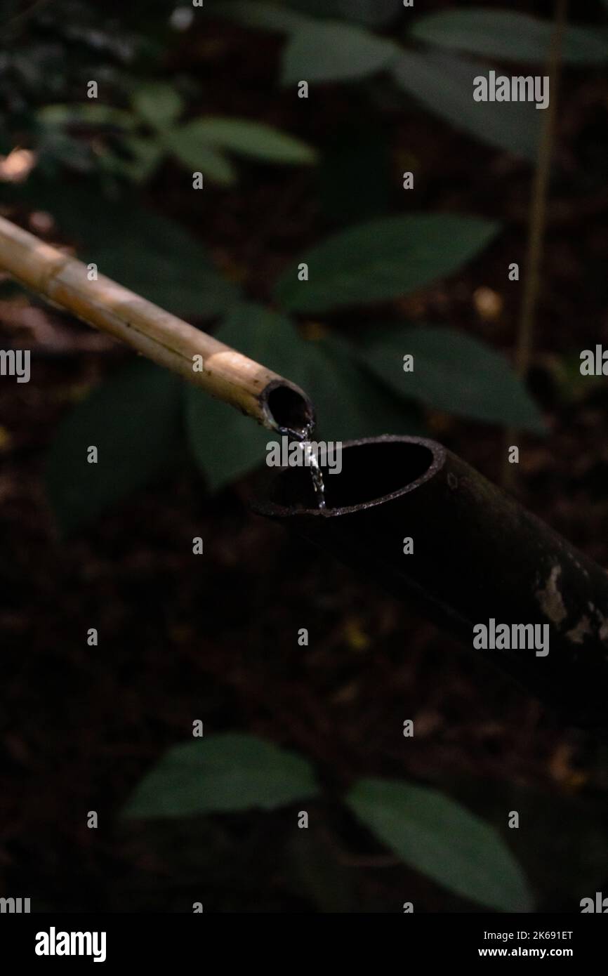 An Irrigation process with bamboo Stock Photo Alamy