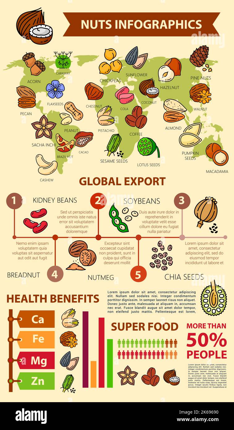 Nuts and seeds infographics, beans and natural food healthy benefits