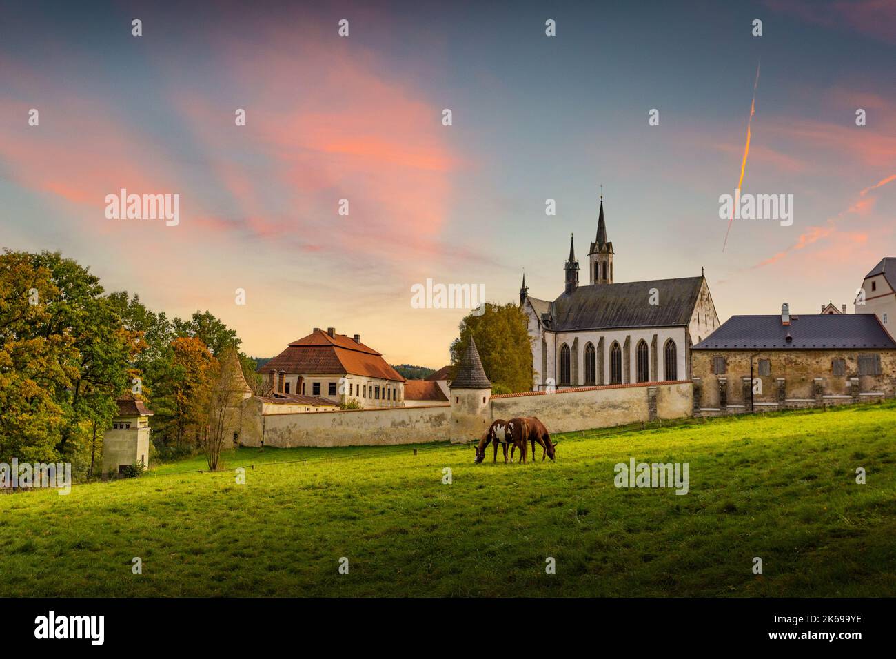 Cistercian monastery Vyssi Brod and grazing horses. Czech Republic ...