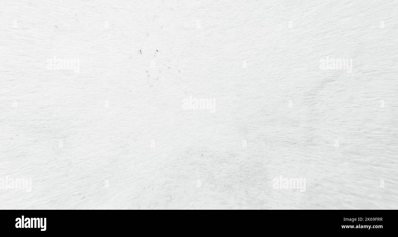 white textured paper for painting grain overlay Stock Photo Alamy