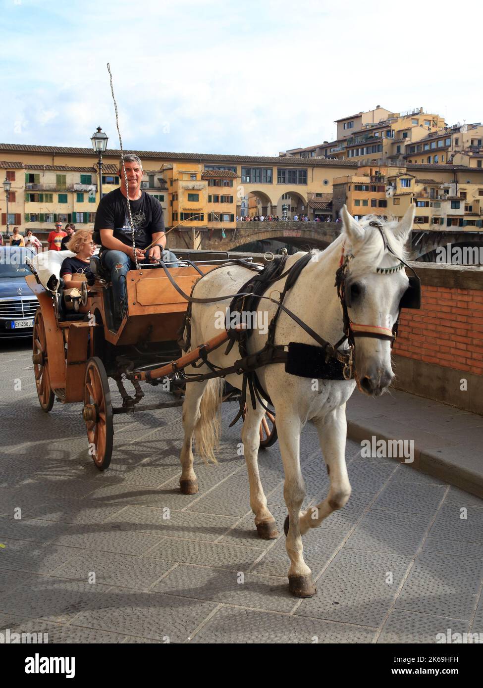Carriage horse bridge hi-res stock photography and images - Alamy