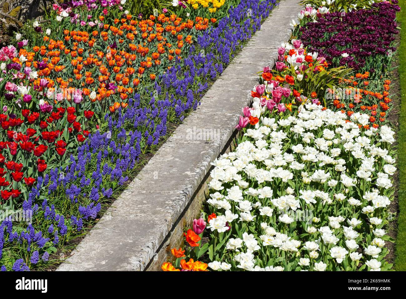 Spring flowers blooming in a garden flowerbeds Stock Photo