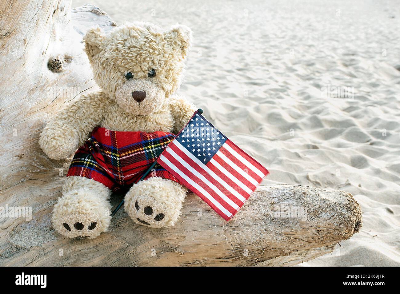 Teddy bear on a beach driftwood log with an American flag Stock Photo