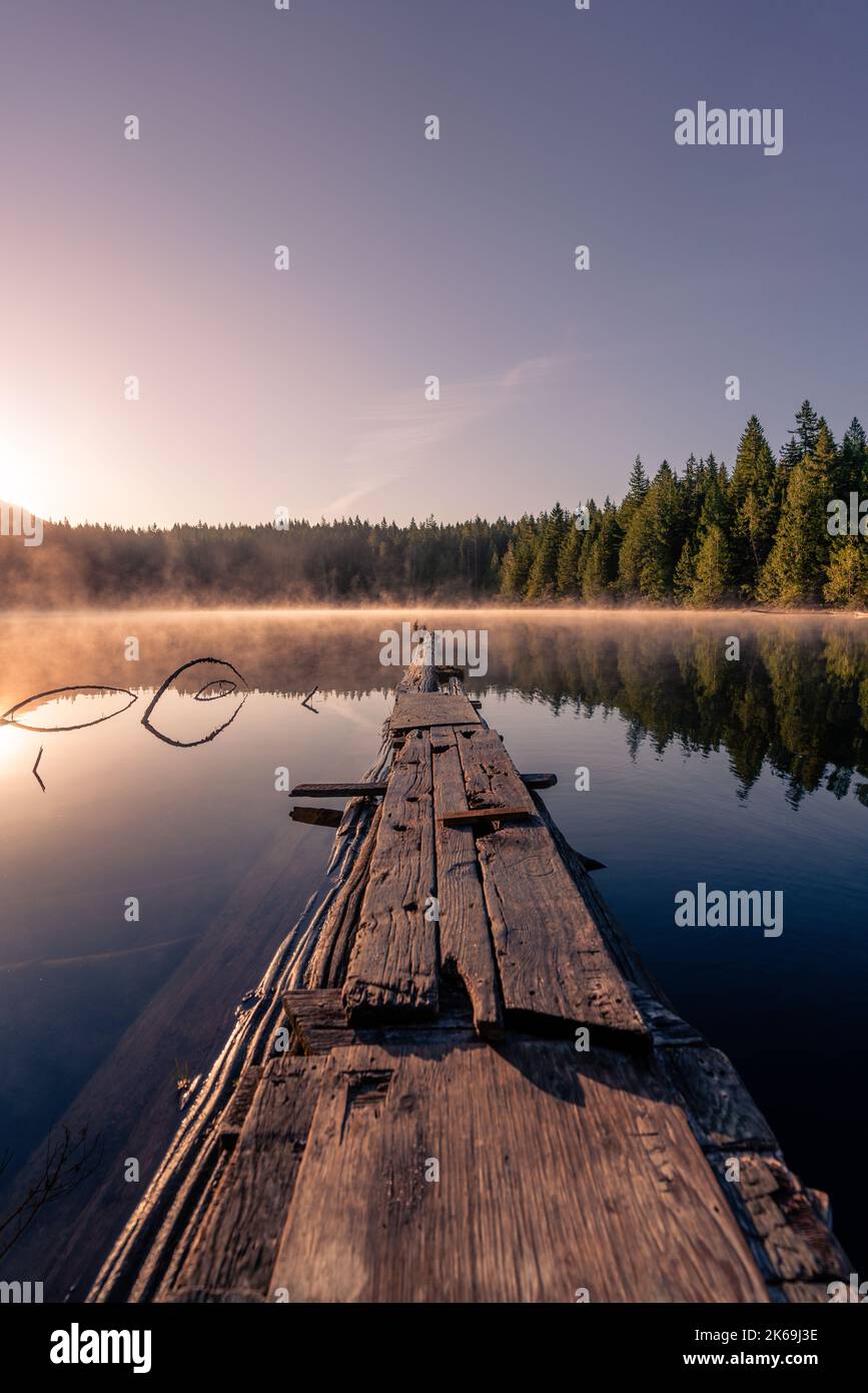 A vertical of the reflection of a tree line in a beautiful mirror lake ...