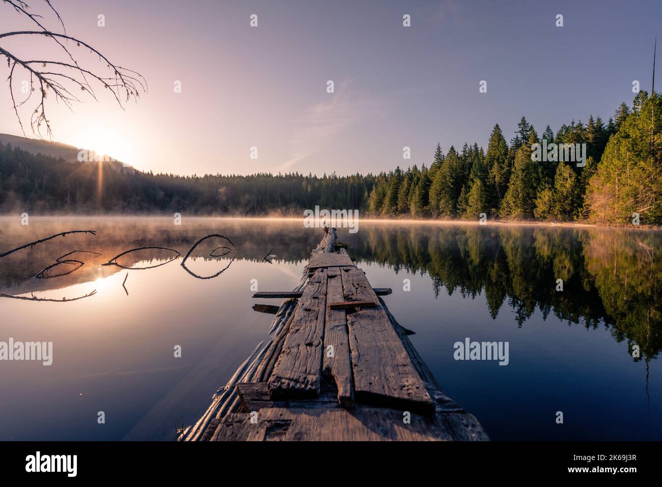 The reflection of a tree line in a beautiful mirror lake captured from ...