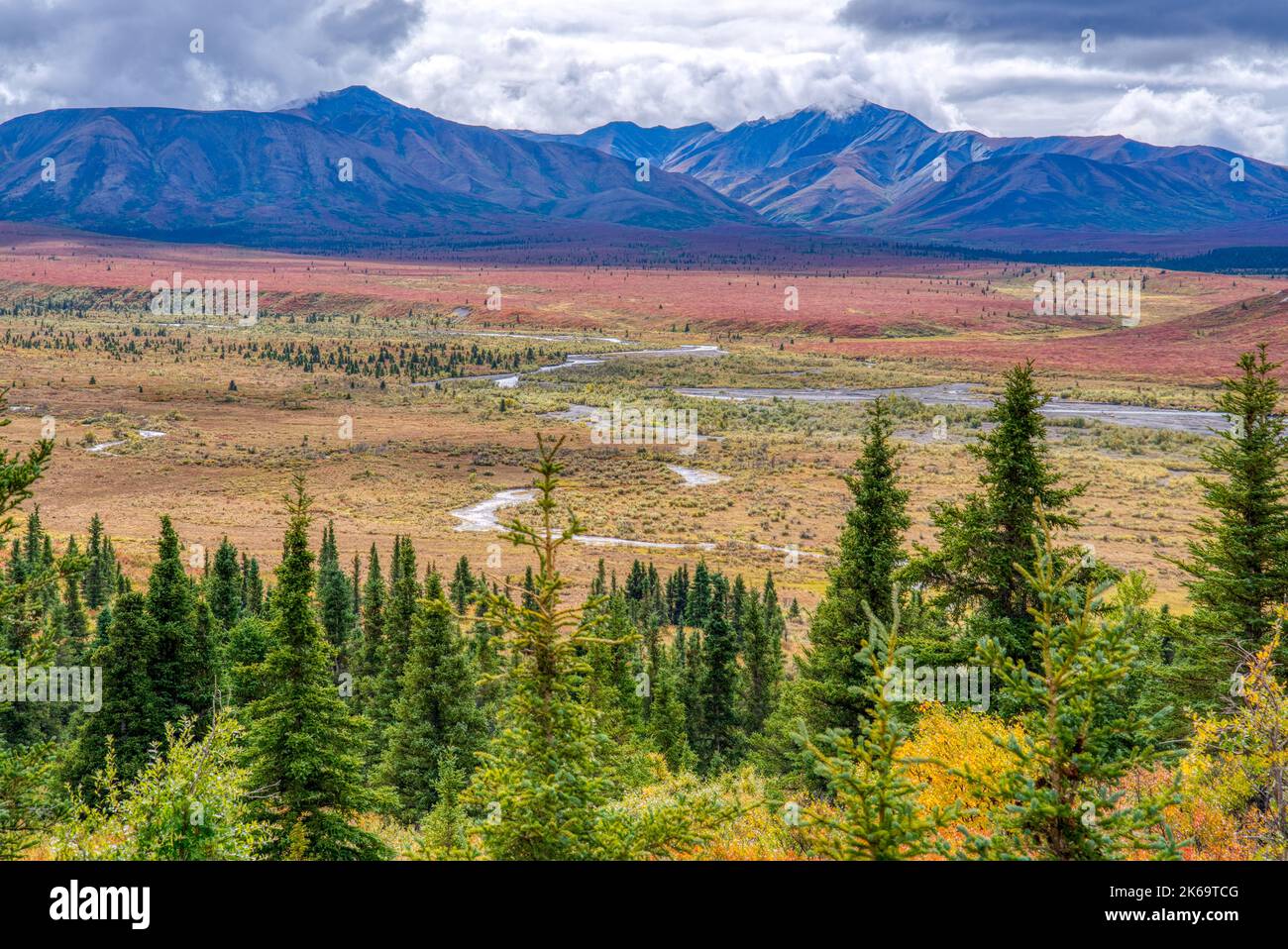 Tundra and mountains along the Savage River in Denali National Park, Alaska Stock Photo