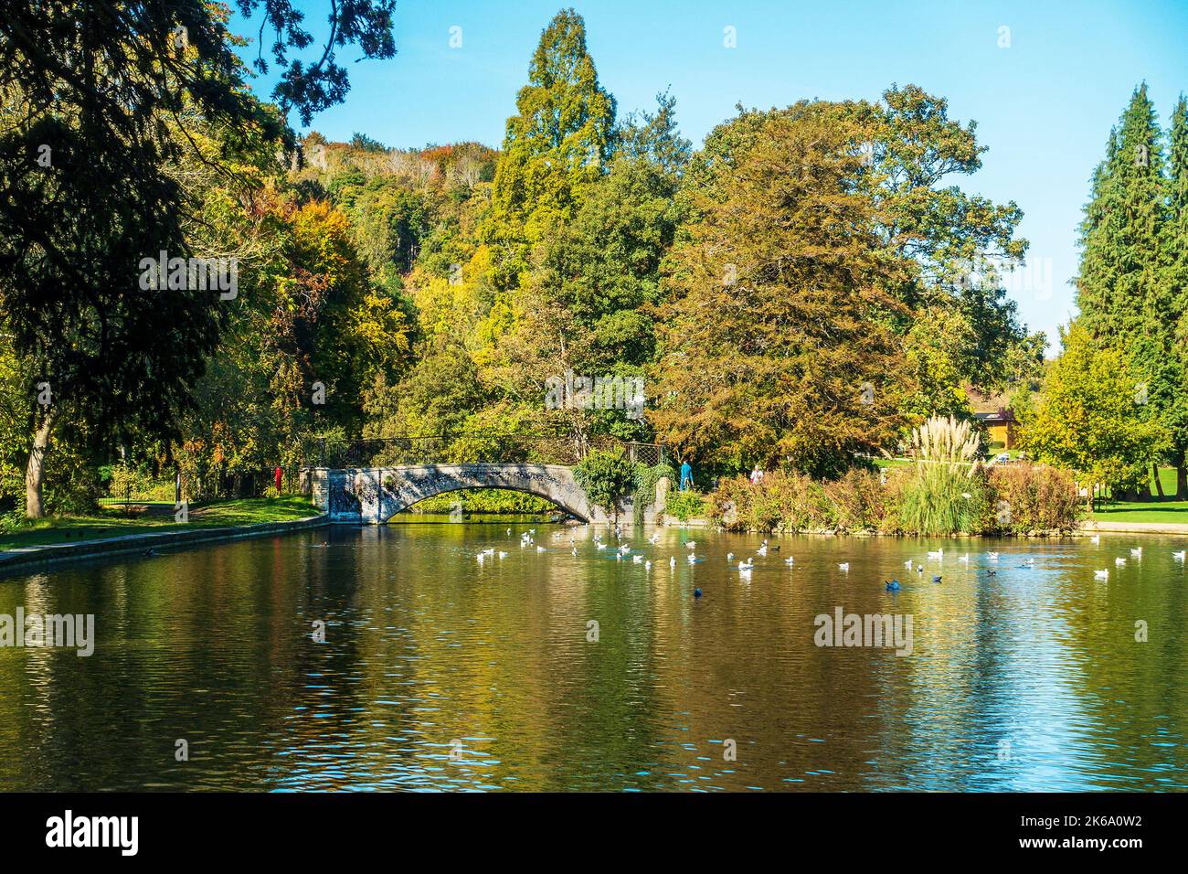 Kearsney Abbey Gardens,Park,Lake,Bridge,Swan,Kearsney,Dover,Kent,England,UK Stock Photo