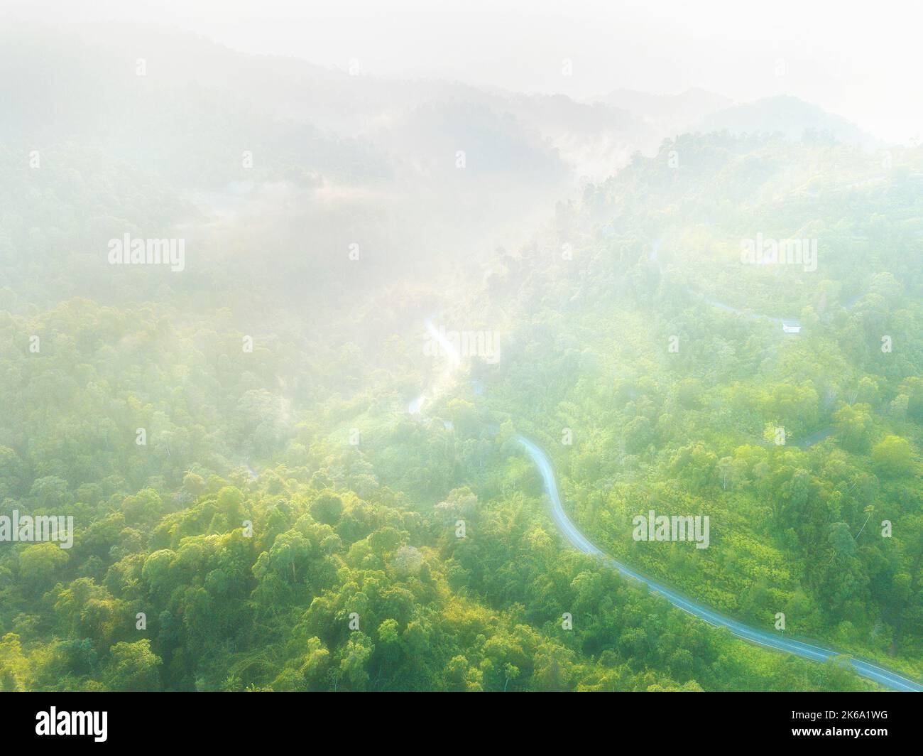 Thick fog covering the forest and the lake in early morning landscape ...