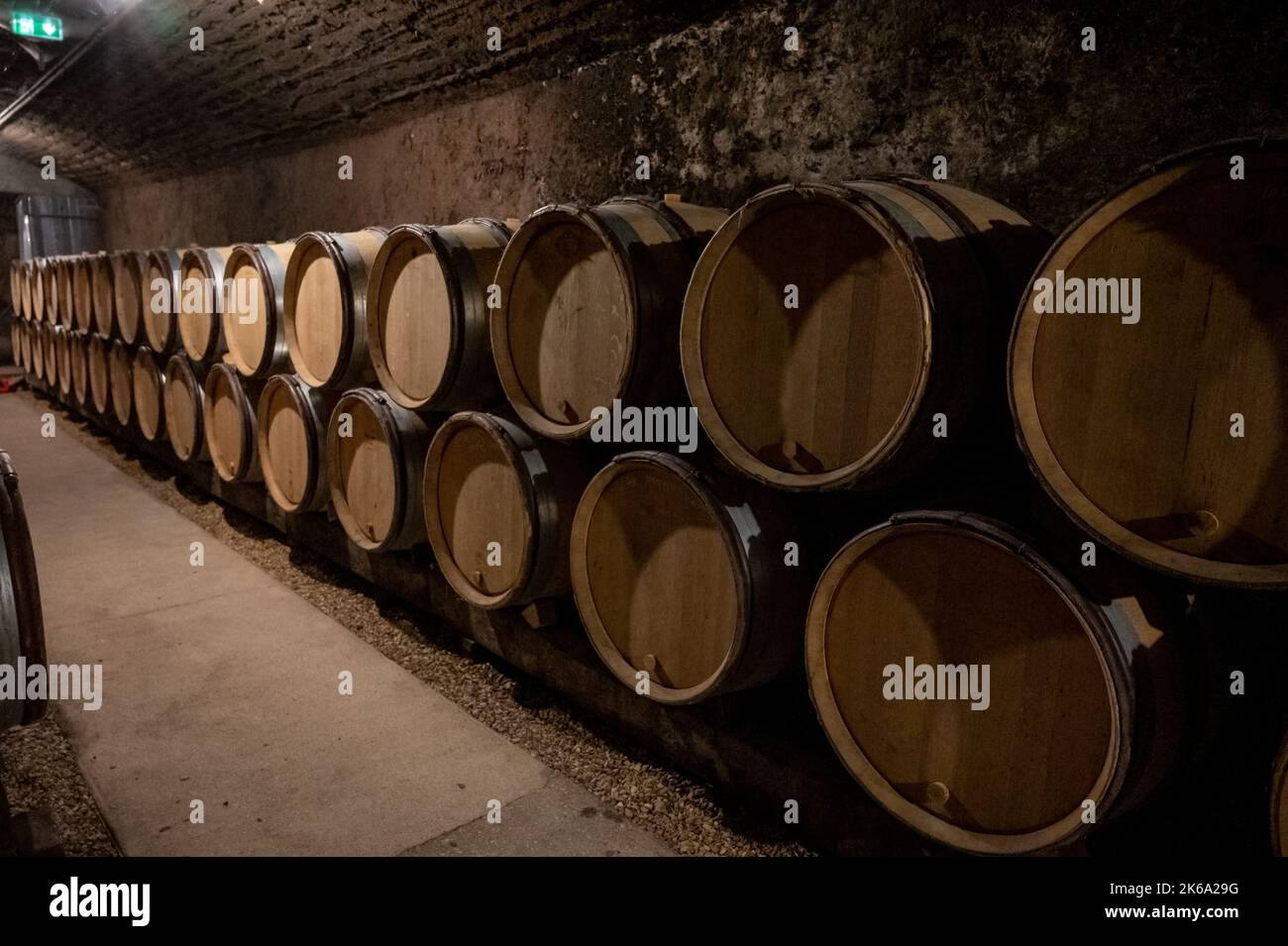 Stages of wine production from fermentation to bottling, visit to wine ...