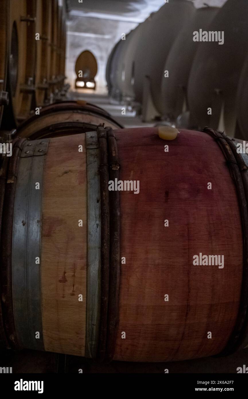 Stages of wine production from fermentation to bottling, visit to wine ...