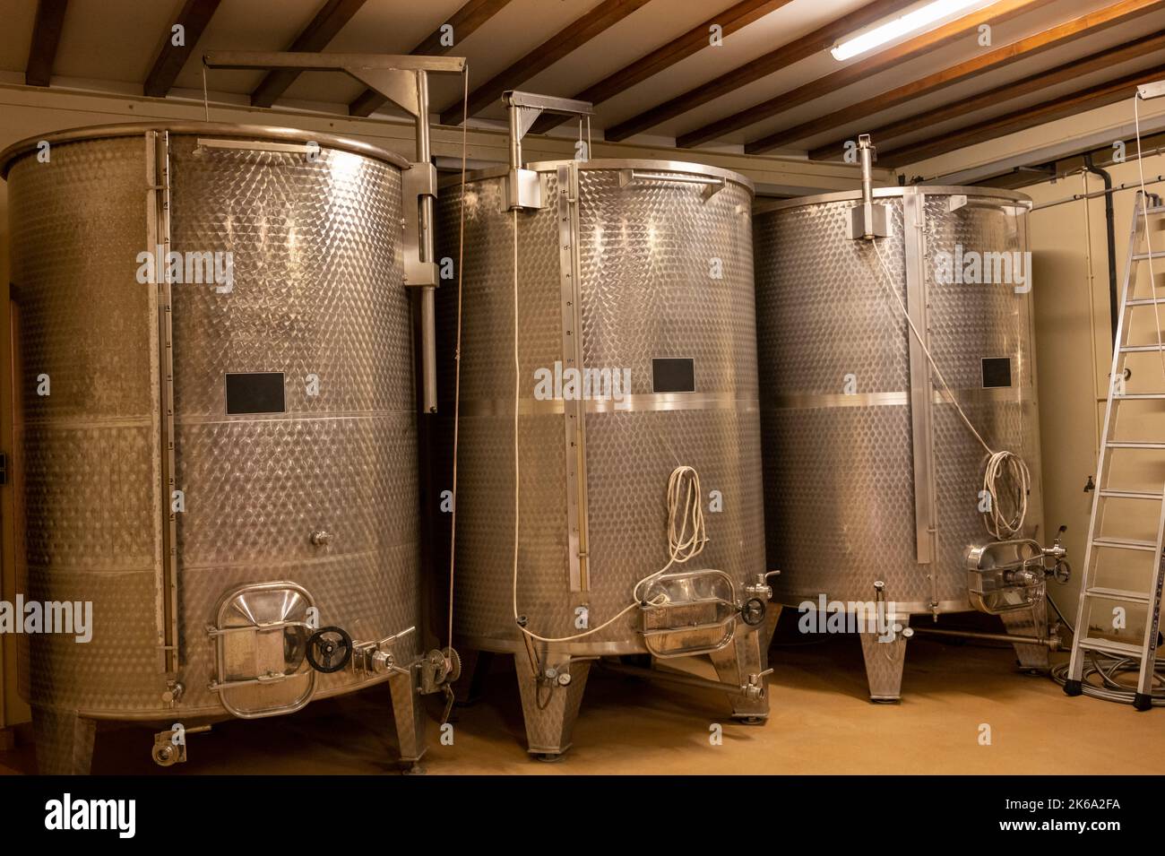 Stages of wine production from fermentation to bottling, visit to wine