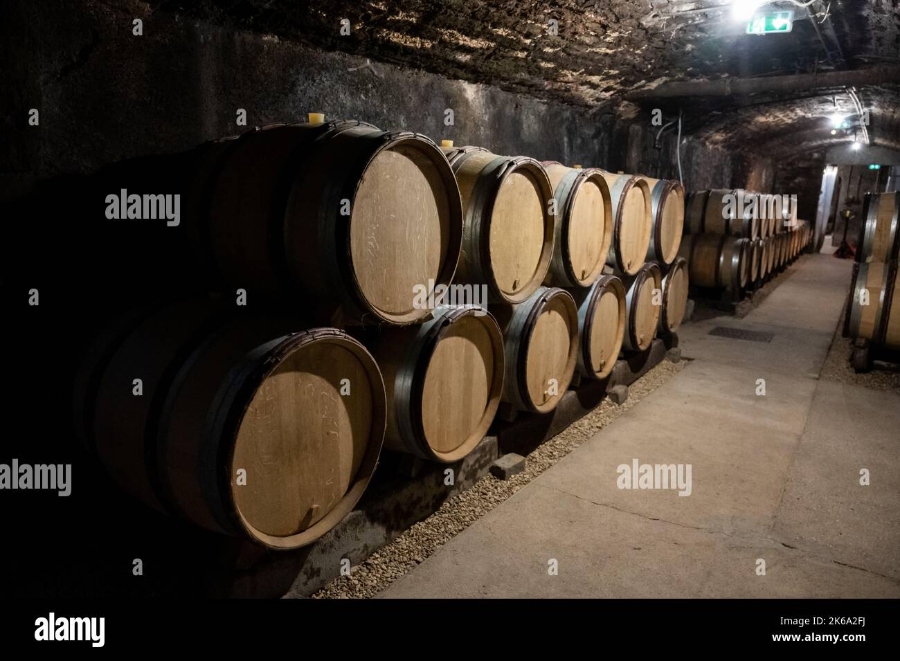 Stages of wine production from fermentation to bottling, visit to wine ...