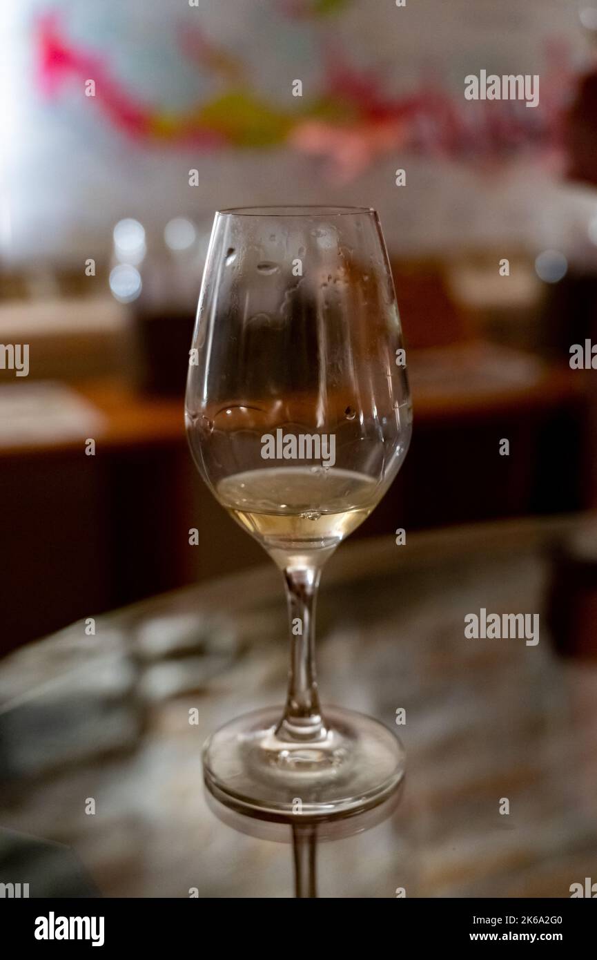 Wine tasting in underground cellars caves of French wine domain in