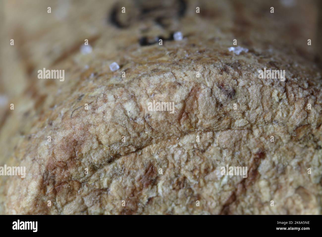 Cork texture, cork board background close up Stock Photo