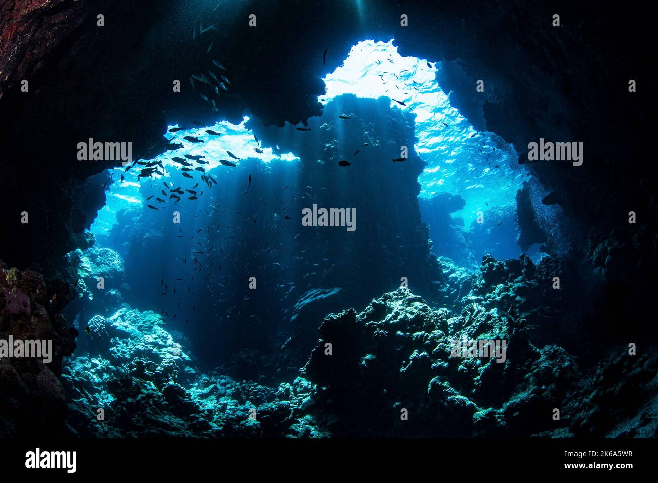 Coral formations hi-res stock photography and images - Alamy