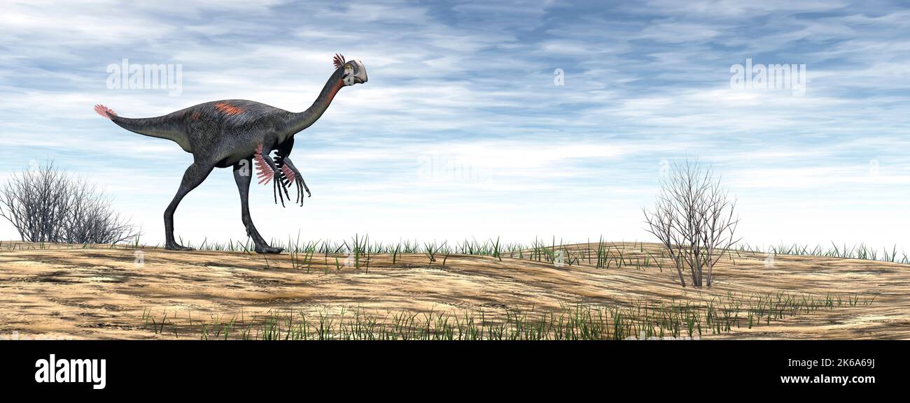 Gigantoraptor dinosaur walking in the desert by day. Stock Photo