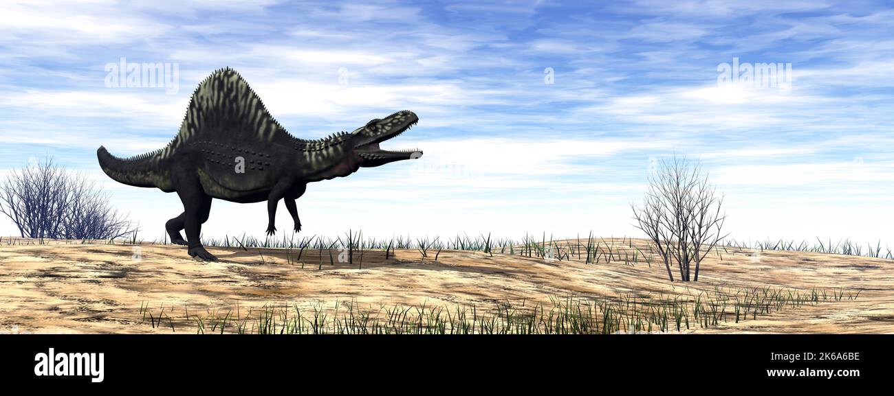 Arizonasaurus dinosaur walking in the desert by day. Stock Photo