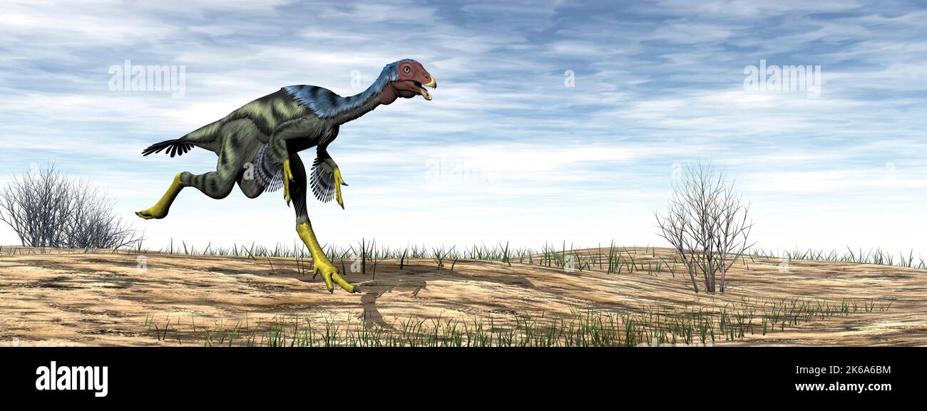 Caudipteryx dinosaur running in the desert by day . Stock Photo