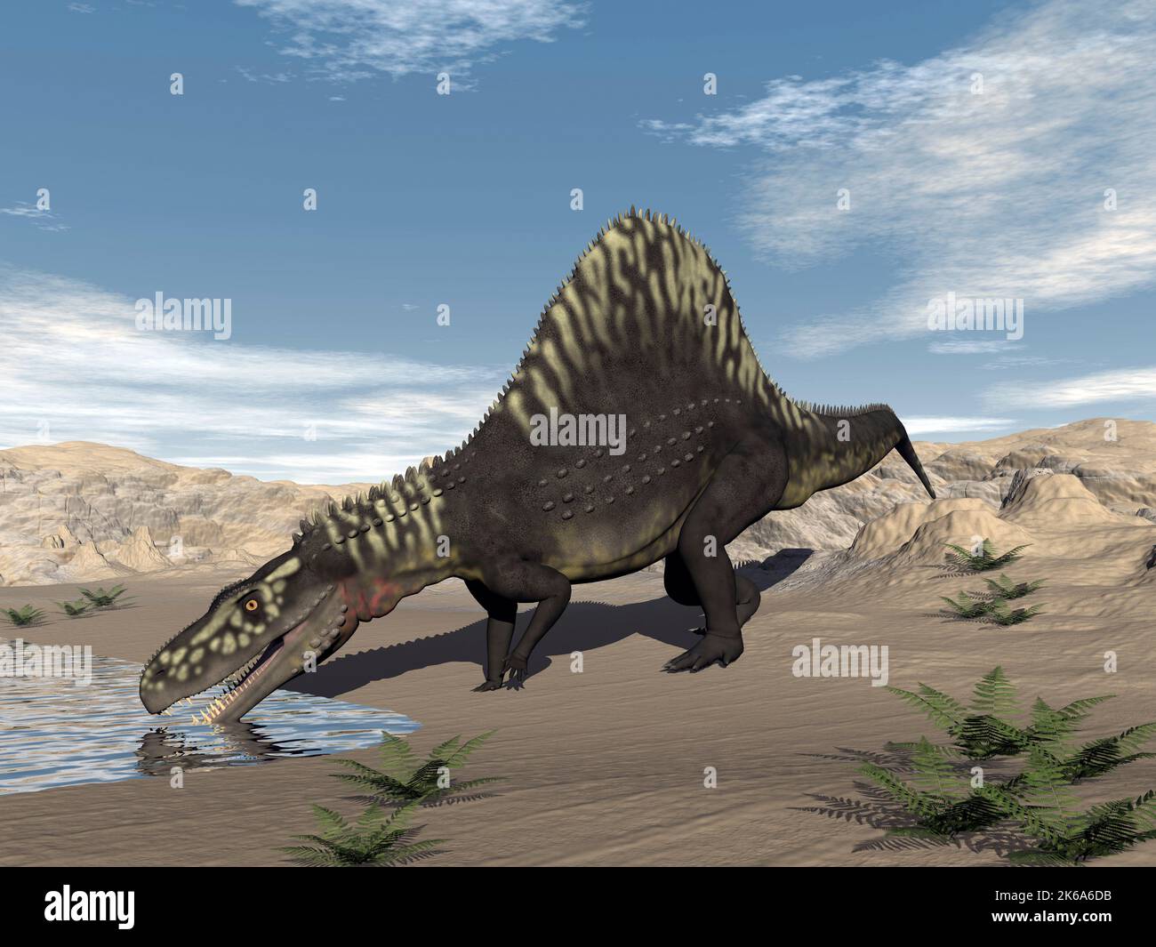Arizonasaurus dinosaur drinking water in the desert. Stock Photo