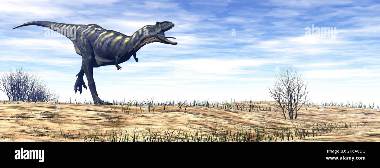 Aucasaurus dinosaur running in the desert by day. Stock Photo