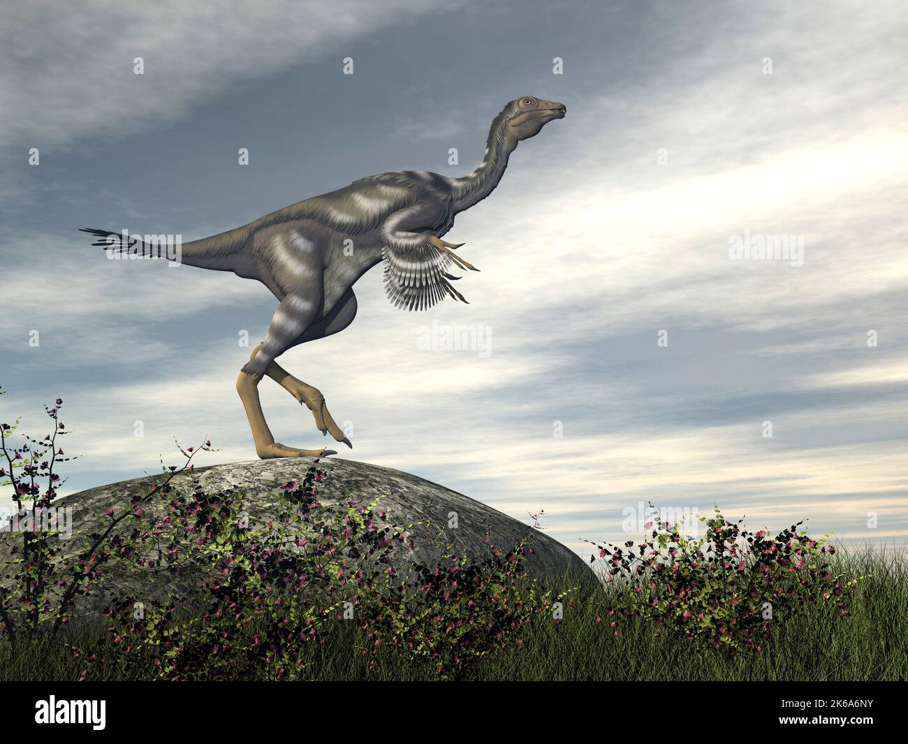 Caudipteryx dinosaur standing on top of a rock. Stock Photo