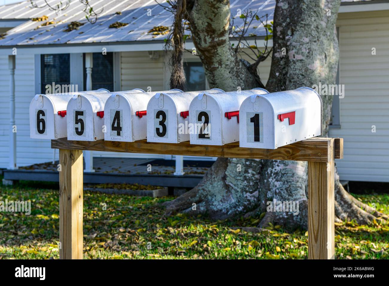 A simplistic yet graphic presentation of six identical mailboxes in a row with homemade wooden stand, and large numerals one through six in Bokeelia, Stock Photo