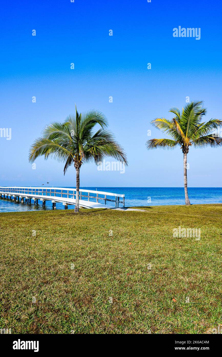 A serene vertical view over the Charlotte Harbor of a wooden pier and