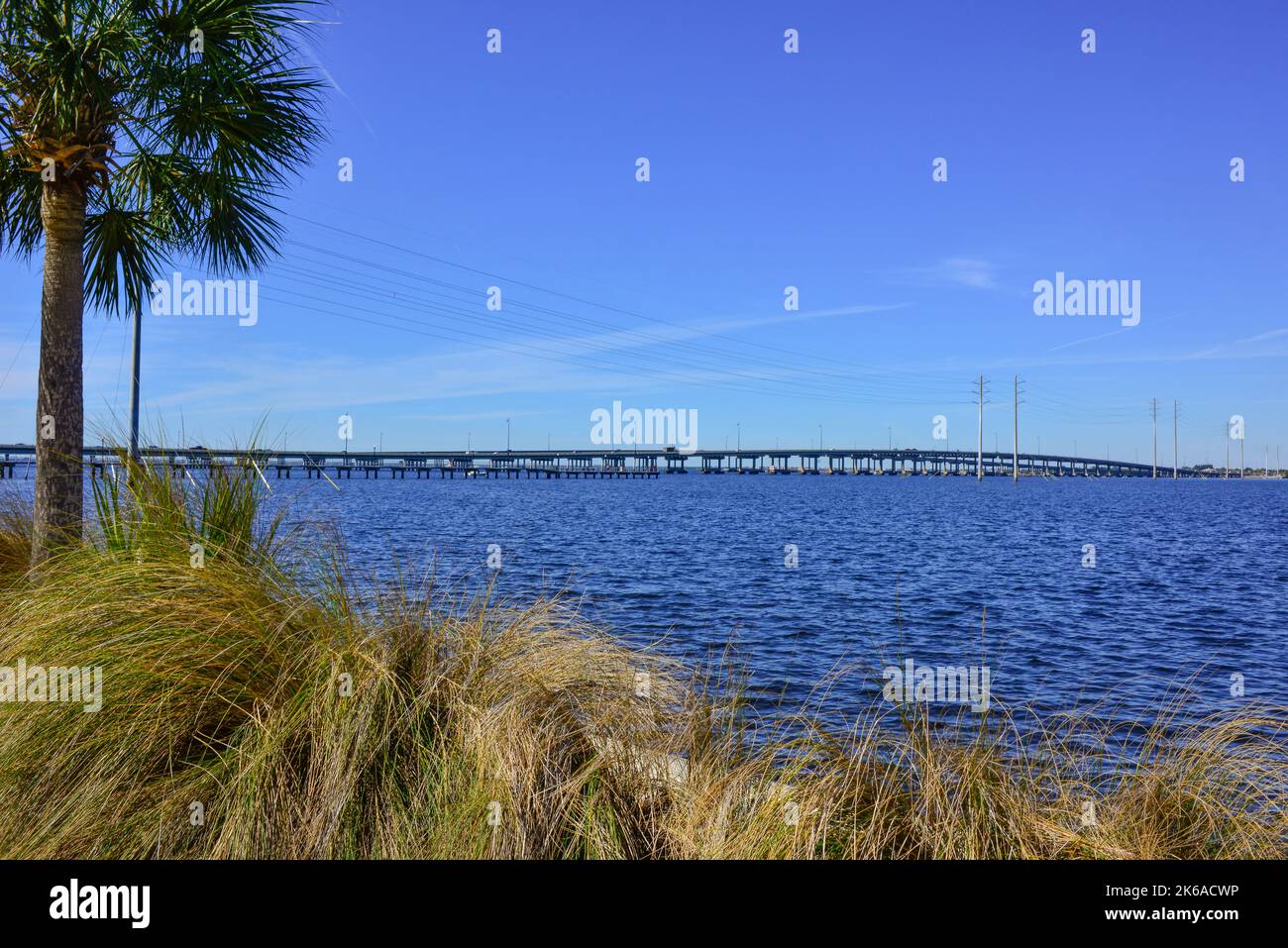 Distant View of the Gilchrist Bridge crossing the Peace River between Port Charlotte and Punta Gorda, Florida framed by palm trees  and wiregrass near Stock Photo