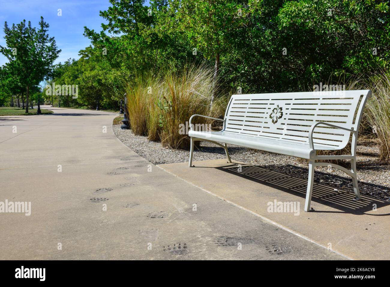 A welcoming bench in Trabue park along the Peace River with animal paw prints in sidewalk in Punta Gorda, Florida, in Charlotte County Stock Photo