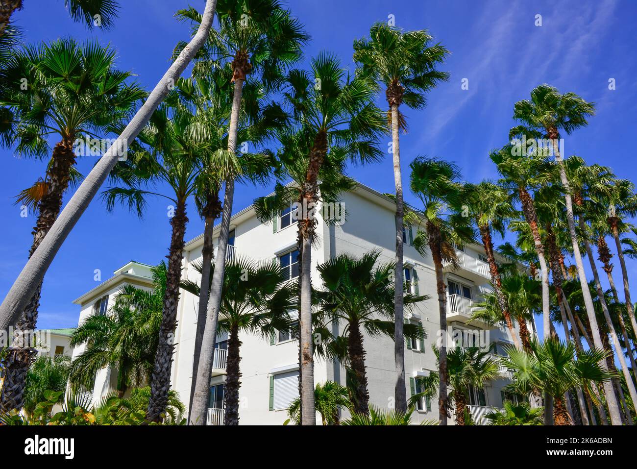 A modern condominium complex shrouded by Palm trees and coastal vegetation on the Peace river, in Punta Gorda, Florida, a retirement haven. Stock Photo