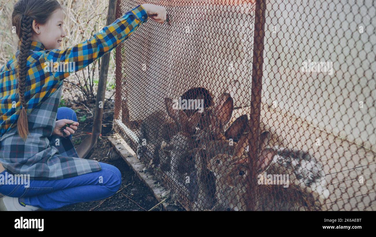 Laughing rabbits hi-res stock photography and images - Alamy