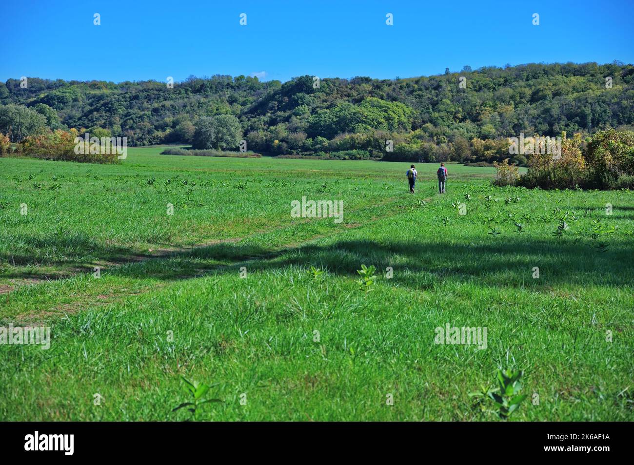 Two hikers walking through the green valley in Croatia Stock Photo