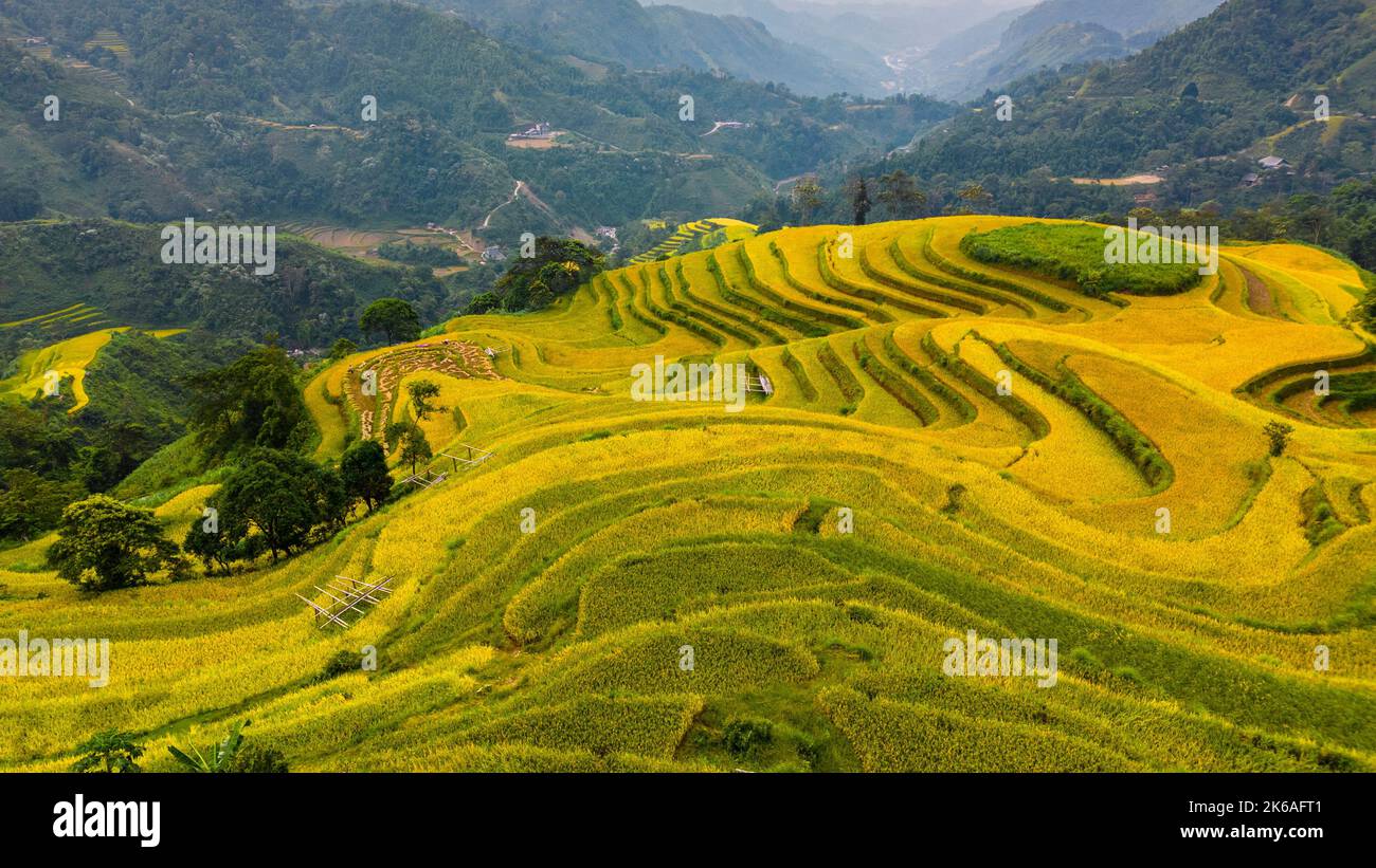 The majestic terraced fields in Ha Giang province, Vietnam. Rice fields ...